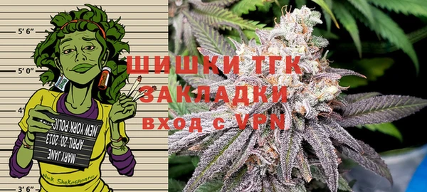 дурь Лабытнанги
