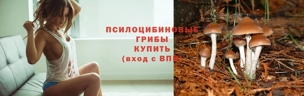 герыч Пенза