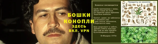дурь Лабытнанги