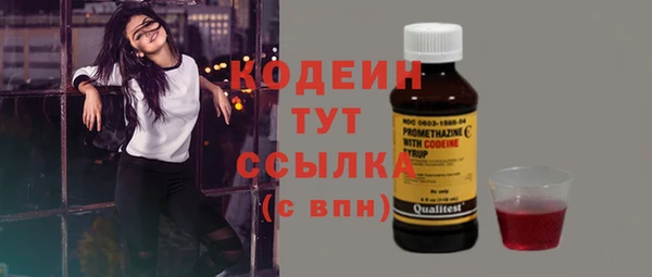 дурь Лабытнанги