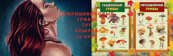 мескалин Ладушкин