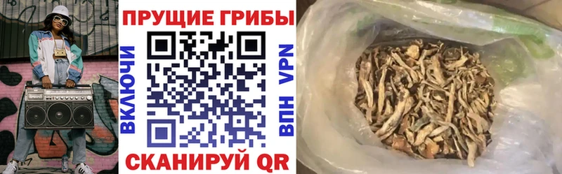 Псилоцибиновые грибы прущие грибы  Усинск 