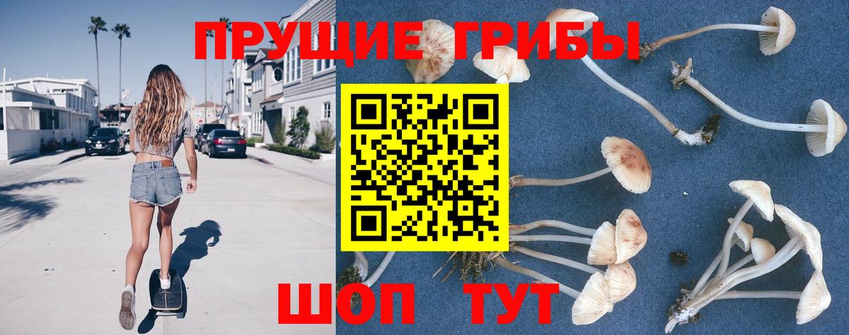 Псилоцибиновые грибы мухоморы Усинск